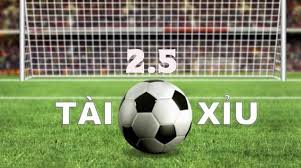 Kinh nghiệm bắt kèo Tài Xỉu 2.5 Rik789 chuẩn xác từ chuyên gia